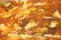 Free--Hot & Sour Soup(Spicy)